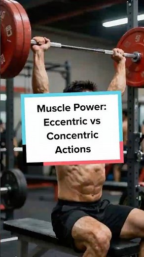 Muscle Power: Eccentric vs Concentric Actions