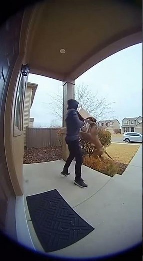 Trapbox Channel – Catching Package Thieves in the Act