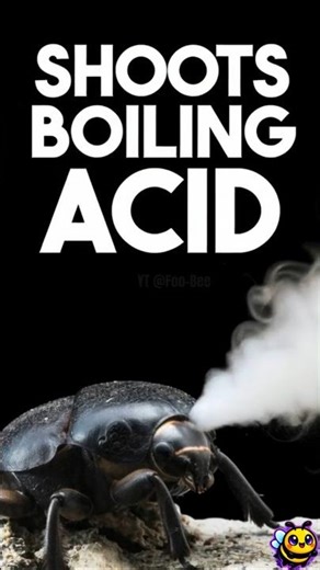 This Bug Fires 500 Explosions Per Second 😱