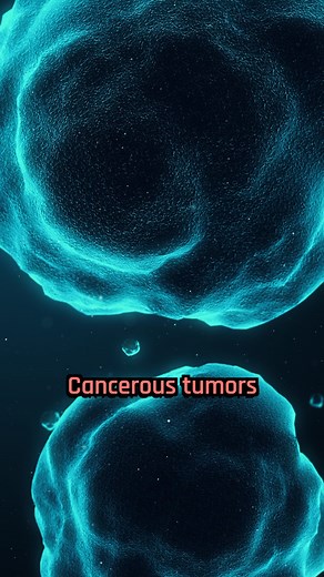 655K views · 10K reactions | Ants can detect the scent of cancer in urine. #Science #Research #Biology #Health #Medicine #Cancer | Hashem Al-Ghaili | Facebook