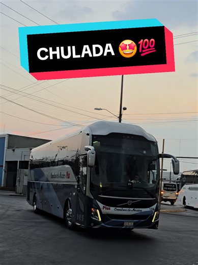 ODM Volvo 9800 Concluye Viaje 🤩