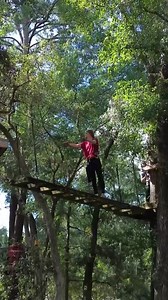786 reactions · 120 shares | Ready for a new adventure this year that you won’t forget?  Climb, zip and maneuver through the treetops at Tallahassee Museum Tree-to-Tree Adventures!  | Tallahassee Museum | Facebook
