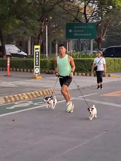 Easy Jogging with Yaku and Hapi: Athletic Dog Fun