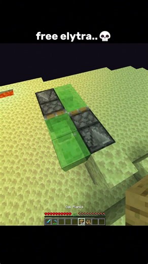 Free Elytra in Minecraft..💀