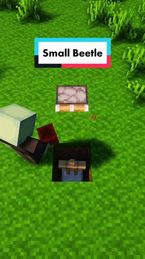 Minecraft Small Beetle🐞 #minecraftpe #minecrafter #minecrafttutorial #minecraftbuilding #minecraftmemes #minecraft #fyp