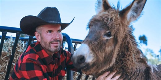 Animal Lovers, You'll Want to Tune in to 'Donkey King' on ABC for the Most Heartwarming Reason