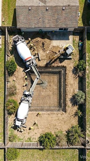 From Dirt to Paradise: Transforming a Boring Yard into a Tropical Oasis