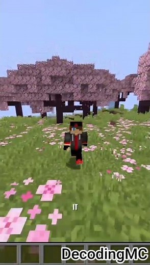 The EASIEST Way to Find BURIED TRESSURE in Minecraft!