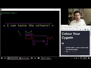 Colour Your Cygwin