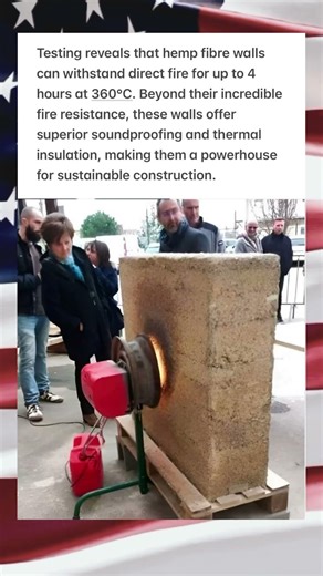 The Surprising Fire Resistance of Hemp Fibre Walls