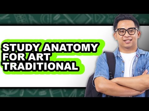 How to Study Anatomy for Art Traditional (easy Method)