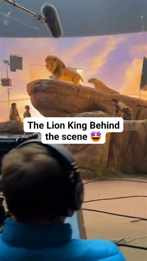 Lion king BTS 😁 | Jhay Hu