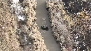 Is Ukraine using Chemical Weapons against Russia?