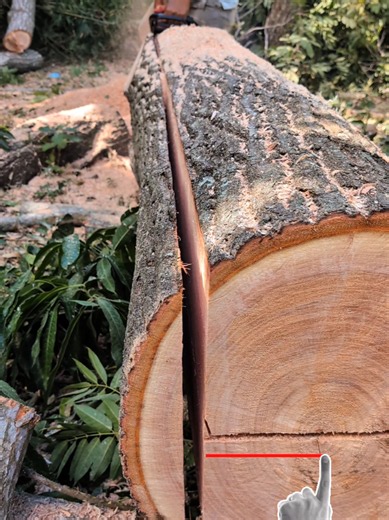Error al aserrar madera con motosierra que te puede salir caro