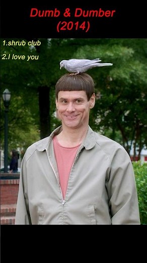 Dumb and Dumber To (2014)｜Pigeon Eats Exploding Candy! Instant Chaos 😂💥🐦