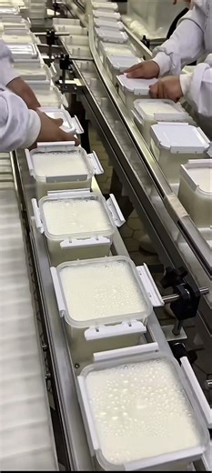 Fermented Food & Yogurt Production Line – Controlled Fermentation System