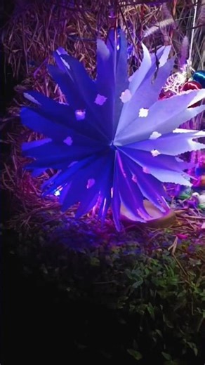 JUST PAPER, GLUE & A LITTLE MAGIC 🤍✨ #youtubeshorts #shorts #diy