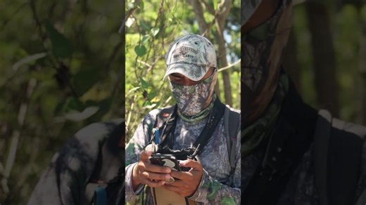 These ornithologist are studying bird migration #animalsforkids #naturevideo #animalfacts | Krista De Groot