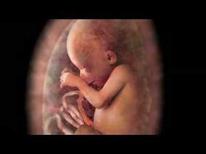 임신_ 출산_경이_AlexanderTsiaras_2010P.mp4