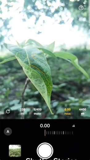 Mobile Photography Pro Mode | Street Photography Shots