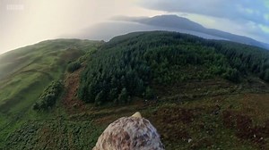 1.3M views · 25K reactions | Stunning view from eagle's back 礪 | We Are Nature | Facebook