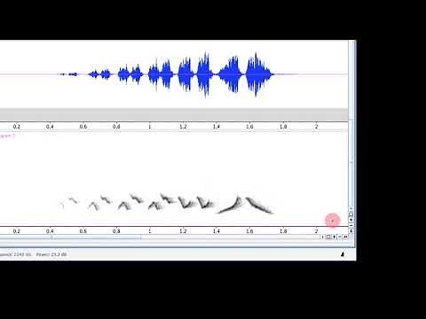 Part 1: Raven intro (English)