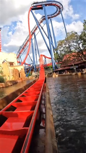 SheiKra is a dive coaster at Busch Gardens Tampa, featuring a 90 degree first drop. #AmusementParkThrills #themepark #travel #tampa #amusementpark #rollercoaster #florida | In The Loop