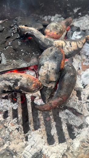 Nifty N. E. E. R. U on Instagram: "#trandingreels♥️ #🧿🧿 #Delhi ki sardi 8• p Rahi 6/1/26"