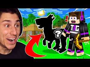 I Found A NEW PET IN MINECRAFT!