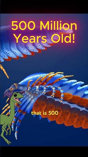 The Oldest Known Chelicerate Discovered! #paleontology #prehistoric #fossils #ancestors #cambrian