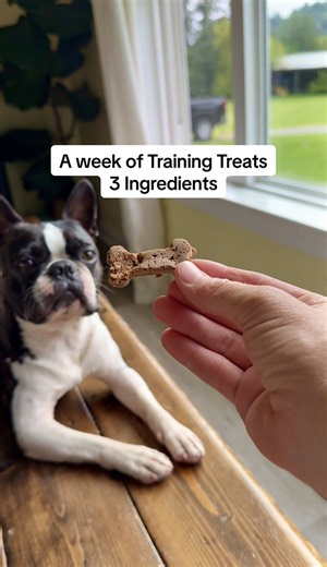 A week of training treats out of one can of their food 👇 1 can wet food 1 egg 1.5 cups oat flour (I blend rolled oats) 350 for 20 min, then 200 for 30 to 45 Fridge 3 days, freezer 3 months The reason I make these instead of buying training treats… When working on training (especially puppies) I hand feeding constantly and want to be able to do that without thinking about what I’m stacking on top of their actual food and bowls! They come out with a real crunch, which is the part my dogs care abo