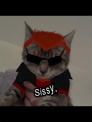 Postal Kitties #kitten #postal #fypシ #capcut