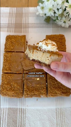 Cookie Butter Cheesecake Bars 🤎✨ #baking #cookiebutter #cheesecake #recipe #cheesecakerecipe