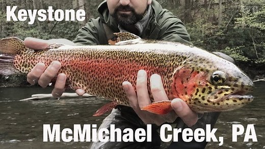 DIY Guide to Fly Fishing McMichaels Creek in Northeast Pennsylvania | DIY Fly Fishing