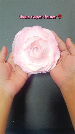 DIY Tissue Paper Flower🌹 | Making Rose Flower with Tissue #diy #crafts #shorts