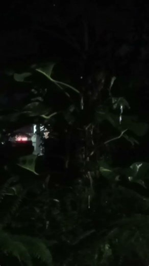 Rainy Night Ambience | Peaceful Night Rain Sounds for Relaxation & Sleep