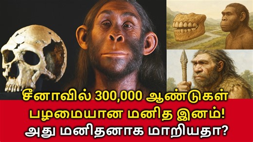 27K views · 130 reactions | Half Human? சீனாவில் 300,000 ஆண்டுகள்...