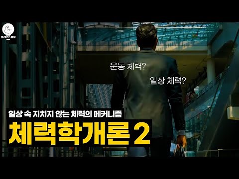 The tireless stamina mechanism that enables us to accomplish all the tasks of daily life.