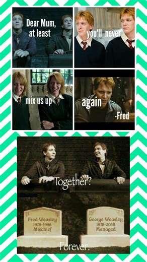 Together Forever 💔✨ | The Weasley Twins’ Unbreakable Bond #shorts #memes #harrypotter