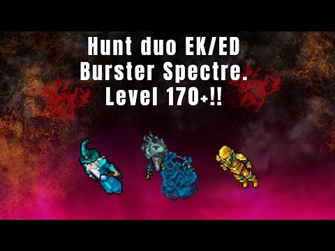 Tibia hunt duo EK e ED - Hunt Burster Spectre 100% explicada! (lvl 170+)