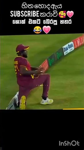 ශොක් එකට බෙරපු හතර 😂💗