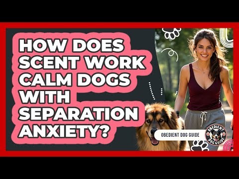 How Does Scent Work Calm Dogs With Separation Anxiety? - Obedient Dog Guide