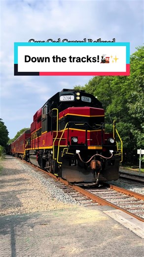 Explore the Cape Train Experience on the Mass Coastal GP-59!