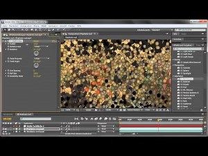 Cycore-Effekte anwenden - Adobe After Effects CS5
