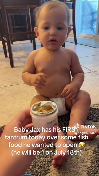 He really threw the fish food at me lol #babyboy #10monthsold #tantrum #babytantrum #babytok #traumatized #baby #hilarious