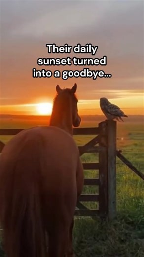 @yamatosenseii on Instagram: "🐴 Speed: The Dark Horse and the Owl Speed wasn't like the other horses in the stables. He was a magnificent dark horse, all shining black coat and powerful build, but he often felt an invisible pull towards the quiet woods that bordered his master's estate. While the other horses trotted diligently in the ring, Speed yearned for the wild. One blustery autumn evening, as Speed was enjoying a rare moment of solitude near the old oak tree, he heard a faint, distressed