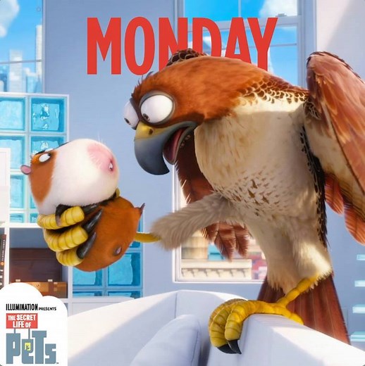 34K views · 873 reactions | Celebrate National Guinea Pig Day all wheek with Norman. | The Secret Life Of Pets | Facebook