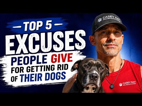 Top 5 Excuses People Give For Getting Rid Of Their Dogs (The Truth Most Owners Won’t Admit)