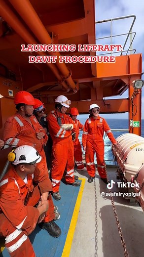 Liferaft Davit Launch Procedure Explained