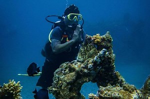 Feeling Sick After Scuba Diving? Here's What to Do - Diving Lore